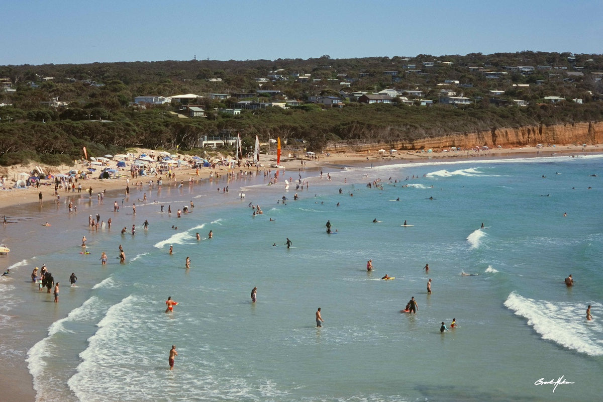 'Moonah Lining' 72cm x 48cm Poster Print