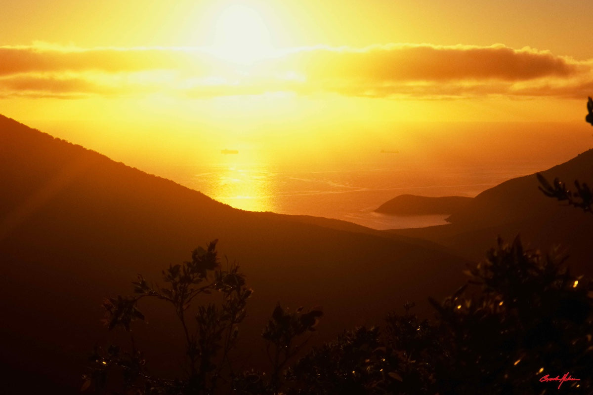 'Tangerine' 72cm x 48cm Poster Print